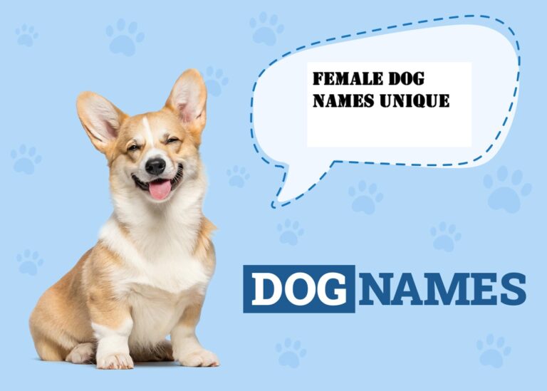 Top Female Dog Names Unique – Cute, Funny & Rare Ideas!